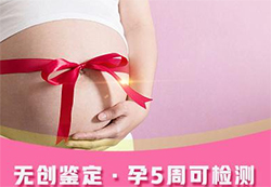 本溪怀孕49天能做胎儿亲子鉴定吗【咨询预约】，本溪做无创产前亲子鉴定需要多少钱