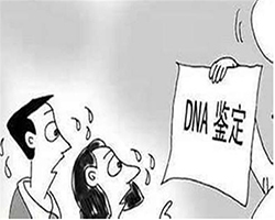 本溪大医院能做DNA亲子鉴定吗，本溪医院做DNA鉴定需要提供什么